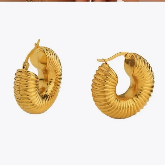 cult gaia 18K Gold plated Lightweight Earrings Chunky Textured Unique Hoop
